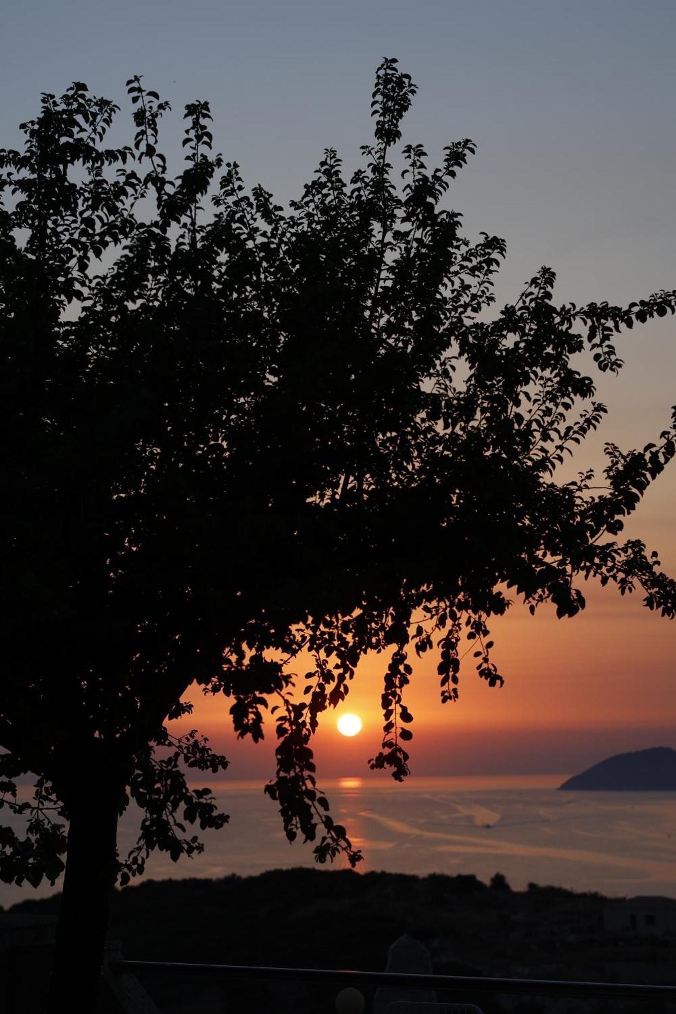 Sunset Serenity هيماري المظهر الخارجي الصورة